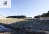 Finca rústica en venta en la España, Fuente Vaqueros, ref: TR369498 foto