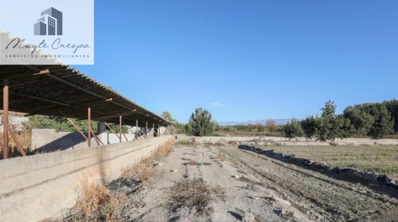 Granada - Fuente Vaqueros - 23219m2
