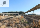 Finca rústica en venta en la España, Fuente Vaqueros, ref: TR369498 foto