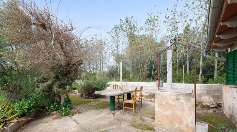 Illes Balears - Lluchmayor - 2700m2