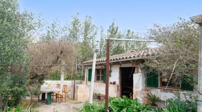 Illes Balears - Lluchmayor - 2700m2