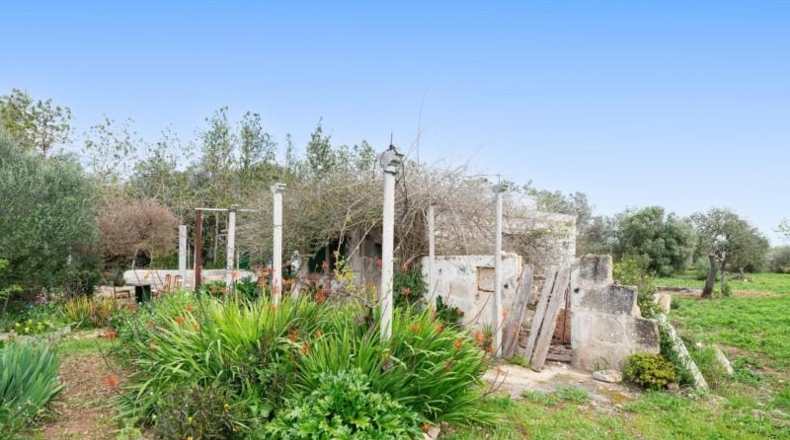 Illes Balears - Lluchmayor - 2700m2