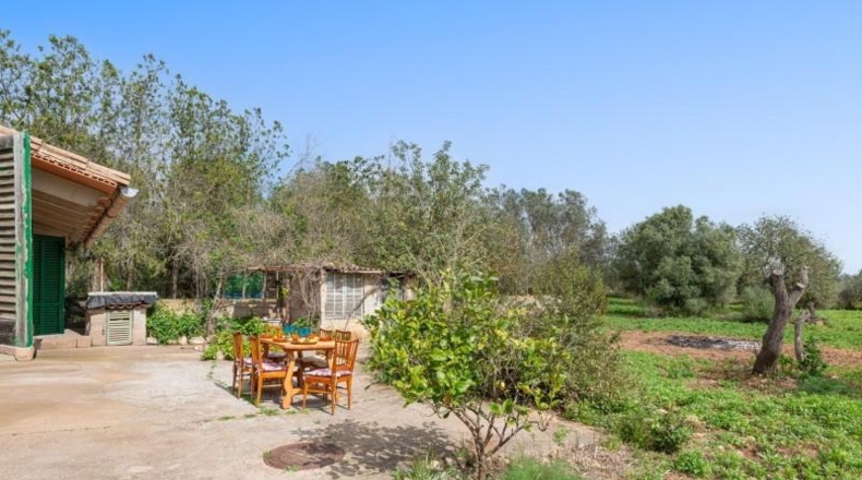 Illes Balears - Lluchmayor - 2700m2