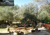 Chalet independiente con terreno en venta en la España, Palma de Gandía, ref: TR289169 foto