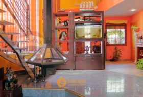 Foto 7