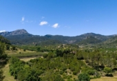 Sòl urbà en venda a la España, Puigpunyent, ref.: TR408697 foto