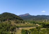 Sòl urbà en venda a la España, Puigpunyent, ref.: TR408697 foto