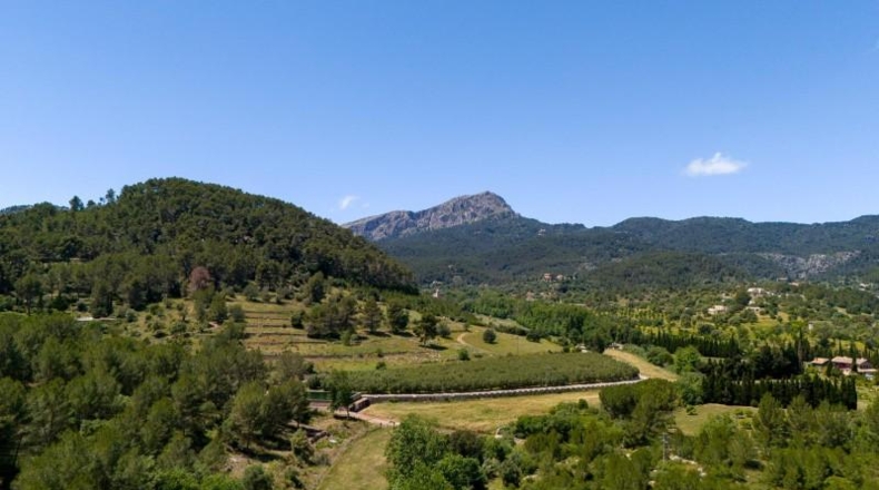 Islas Baleares - Puigpunyent - 1088m2