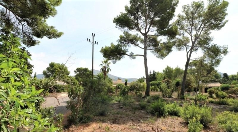 Balearic Islands - Alcudia - 1019m2