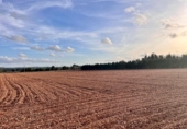 Chalet independiente con terreno en venta en la España, Llubí, ref: TR141228 foto