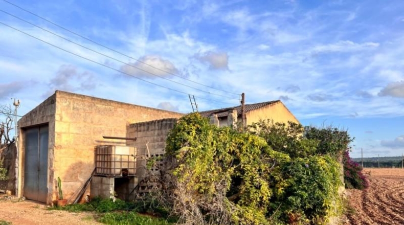 Islas Baleares - Llubí - 39000m2