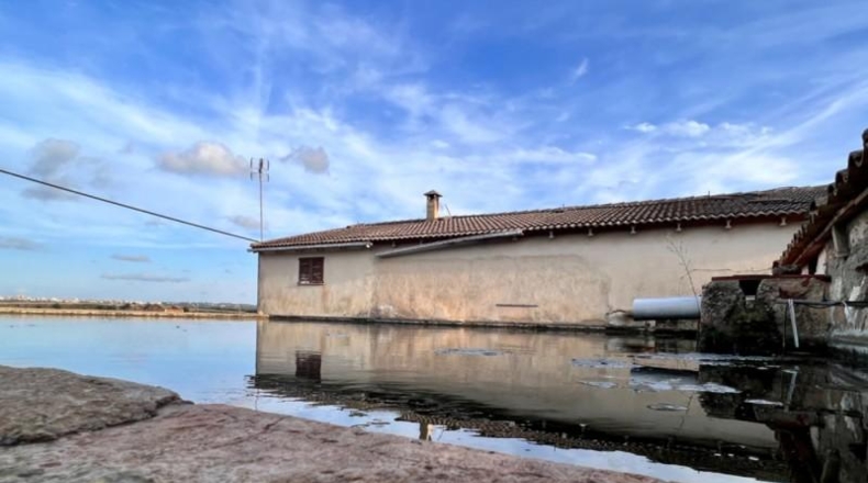 Islas Baleares - Llubí - 39000m2