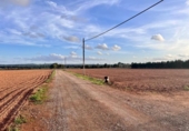 Chalet independiente con terreno en venta en la España, Llubí, ref: TR141228 foto