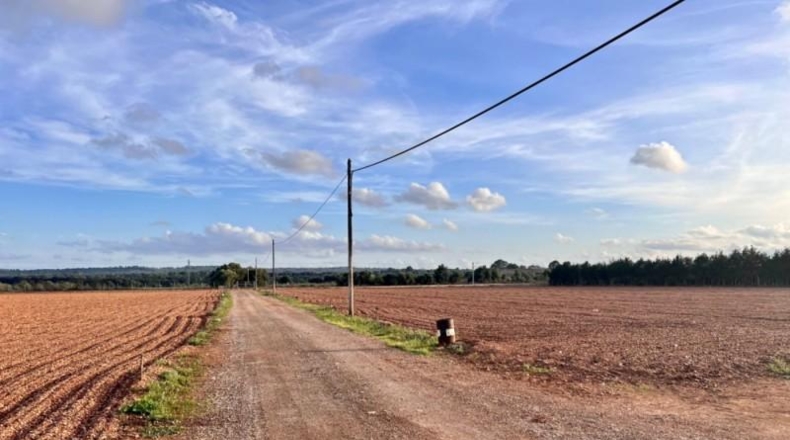 Islas Baleares - Llubí - 39000m2