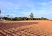 Chalet independiente con terreno en venta en la España, Llubí, ref: TR141228 foto
