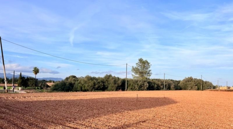 Islas Baleares - Llubí - 39000m2