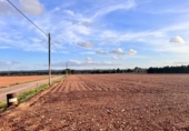 Chalet independiente con terreno en venta en la España, Llubí, ref: TR141228 foto