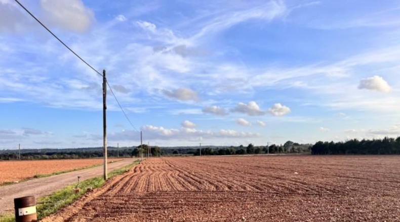 Islas Baleares - Llubí - 39000m2