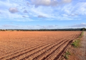 Chalet independiente con terreno en venta en la España, Llubí, ref: TR141228 foto