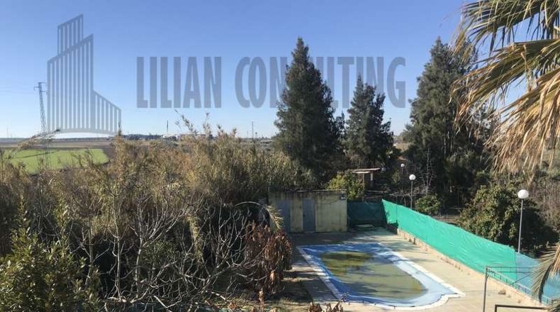 Huelva - Huelva - 9990m2