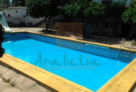 Foto 9