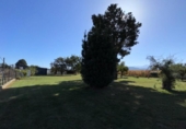 Chalet independiente con terreno en venta en la España, Ponferrada, ref: TR112174 foto