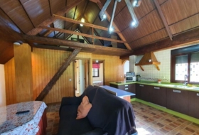 Foto 7