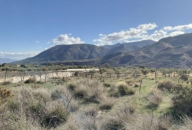 Almócita 82819&nbsp;m²