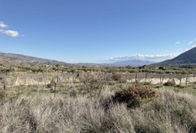 Almócita 82819&nbsp;m²