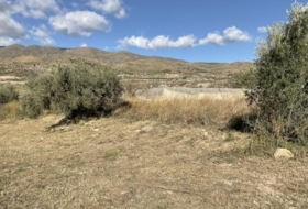 Almócita 82819&nbsp;m²