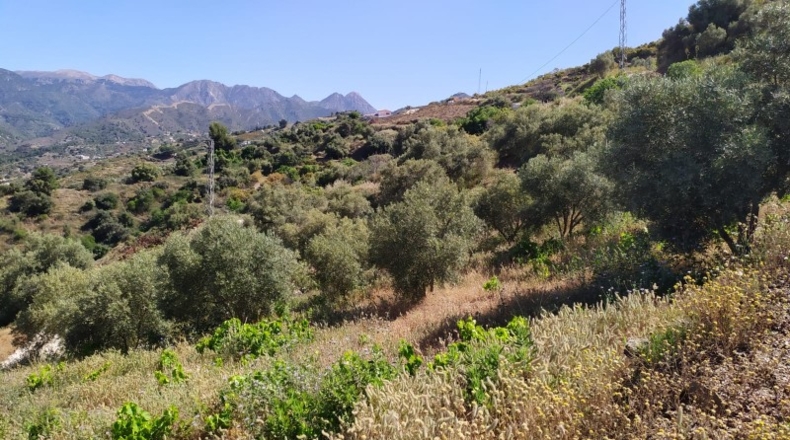 Málaga - Torrox - 11000m2