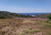 Country house with land for sale on España, Torrox, ref: TR244496 photo