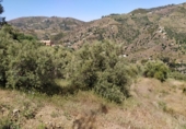 Country house with land for sale on España, Torrox, ref: TR244496 photo