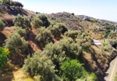 Country house with land for sale on España, Torrox, ref: TR244496 photo