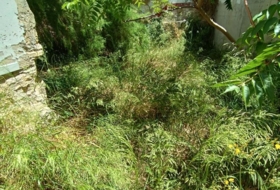 Foto 15