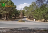 Chalet independiente con terreno en venta en la España, La Zubia, ref: TR248717 foto