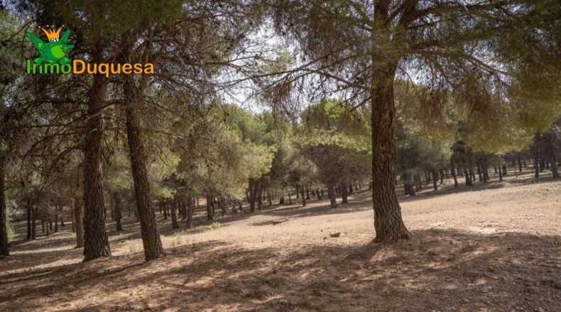 Granada - Ogíjares - 450m2