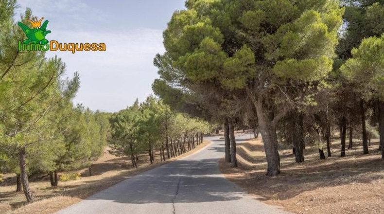 Granada - Ogíjares - 450m2