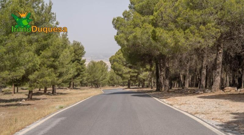 Granada - Ogíjares - 450m2