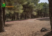Chalet independiente con terreno en venta en la España, La Zubia, ref: TR248717 foto