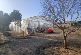 Foto 13