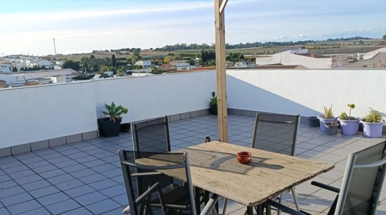 Huelva - Rociana del Condado - 387m2
