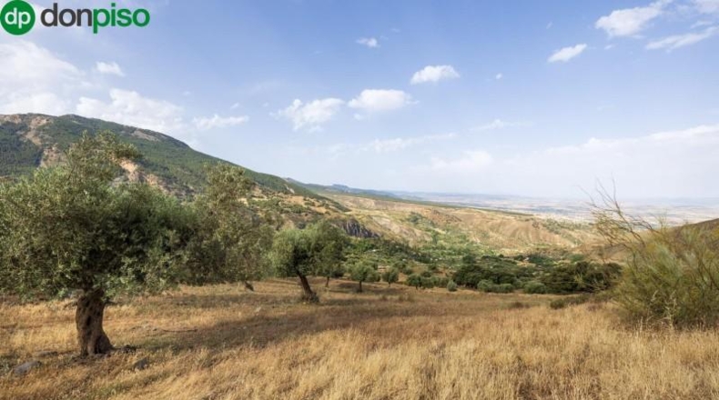 Гранада - Monachil - 190000m2