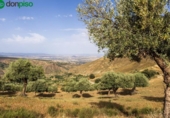 Terreno no urbanizable en venta en la España, Monachil, ref: TR388073 foto