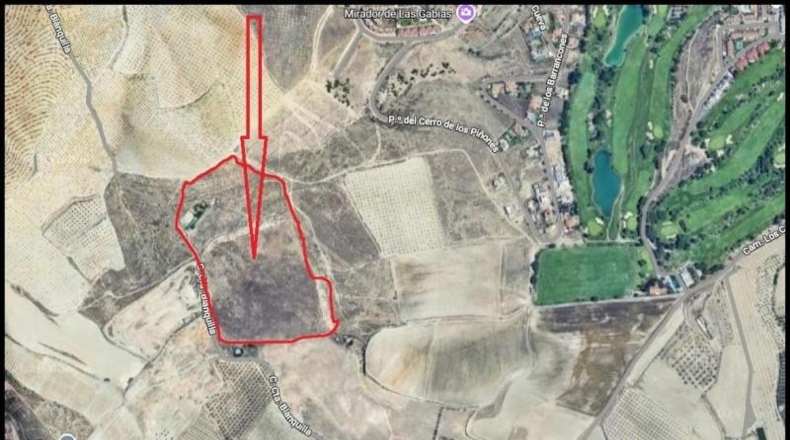 Granada - Los Llanos - 76500m2
