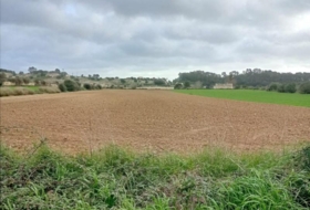 Sineu 18000&nbsp;m²