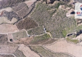 Terreno no urbanizable en venta en la España, Freila, ref: TR198563 foto