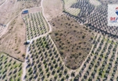 Terreno no urbanizable en venta en la España, Freila, ref: TR198563 foto