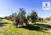 Terreno no urbanizable en venta en la España, Freila, ref: TR198563 foto