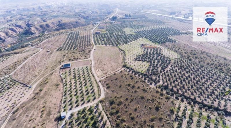 Granada - Freila - 100m2